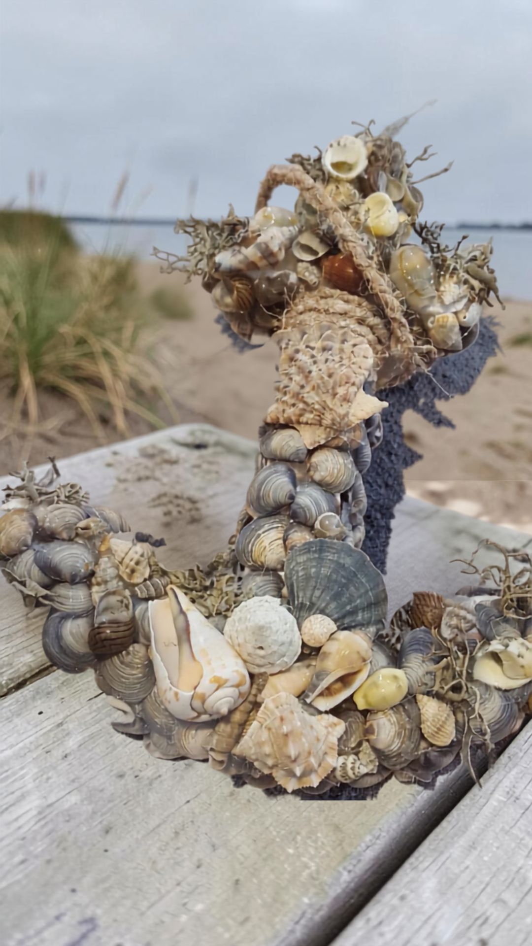 Schelpenanker S en M stap voor stap maken