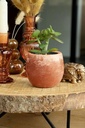 Aroma Bowl Cinnamon – Ø9 x H8 cm – Geurkom van Wax geurende pot