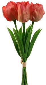 Tulp Tulpen Coral 33cm Bundel 5st zijde Merk: PURE