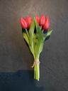 Tulp Tulpen Real Touch ROOD Bundel 5st Luxe Siliconen Latex