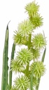 Grasbundel GROEN bloeiend 50 cm /bundel zijde bloemen
