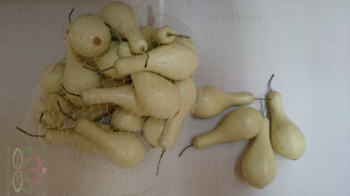 Kalebasjes Creme flesjes 20-25 stuks ca. 5 cm KUNST 