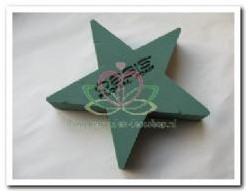 Oasis® Bioline ster oase voor verse bloemen 50 x 50 x 5,5 cm