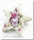 Oasis® Bioline ster oase voor verse bloemen 50 x 50 x 5,5 cm