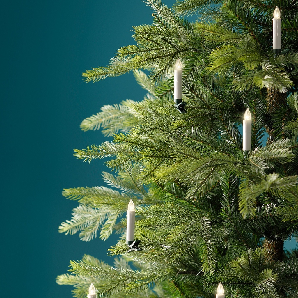 LED boomkaarsjes warm wit op batterij – 10 stuks met Timer en afstandsbediening