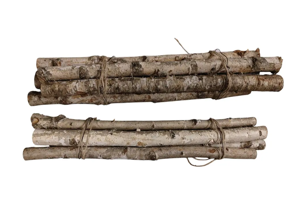 Witte berkentakken 50 cm met een dikte van 2 tot 4 cm.webp