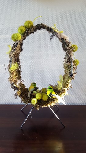 Frame Moon, 40 cm DOOS 24st terug zomer 2025 Nog wel voorraad 50cm ongelakt ook als eiframe te gebruiken