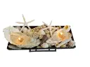 0Tray Oesters (3).webp