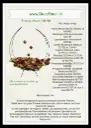 A-027755 Frame Moon Herfst Stel.webp