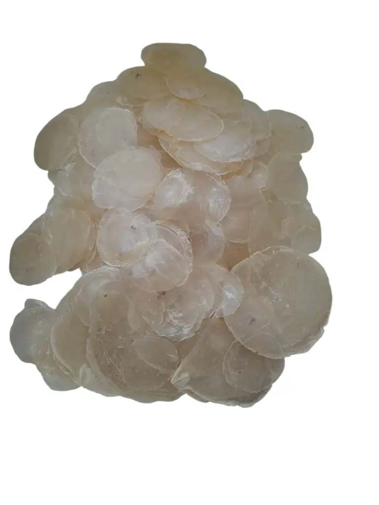 Capiz Camar schelpen 500 gram