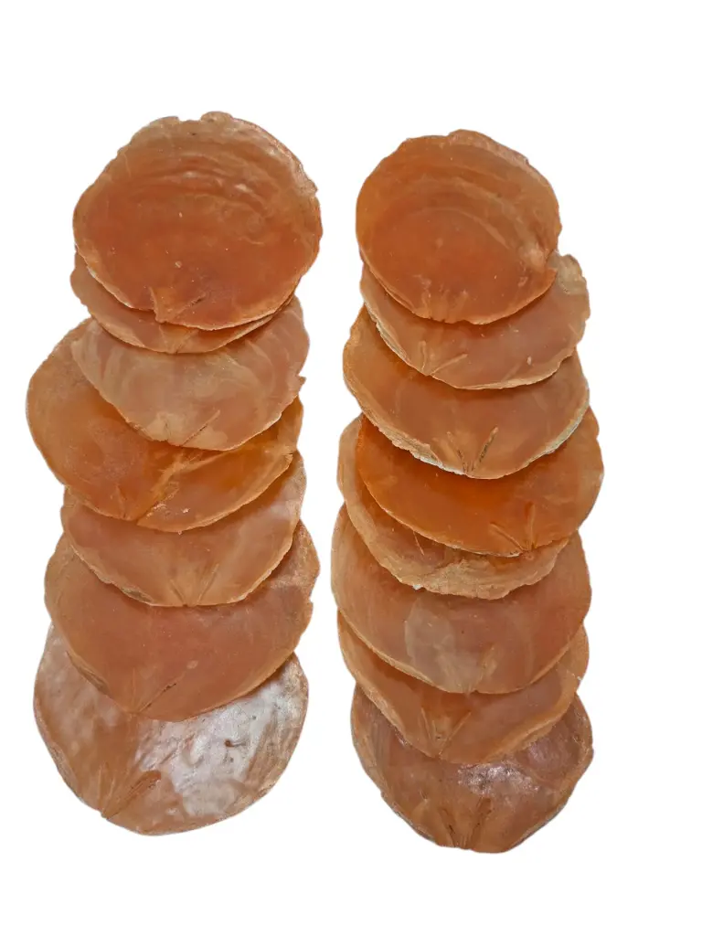 Capiz Camar schelpen Oranje-Goud 250 gram