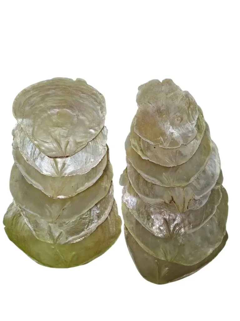 Capiz Camar schelpen Lichtgroen 250 gram