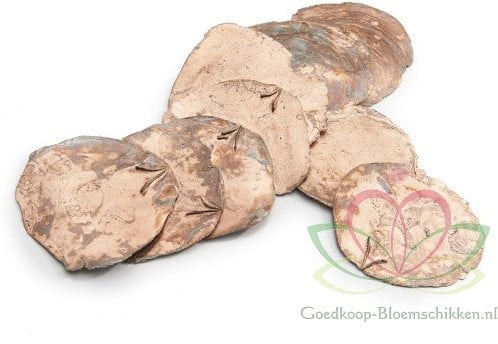 Capiz Camar schelpen Koper 500 gram