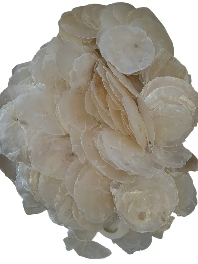 Capiz Camar schelpen 1 kilo