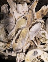 Oesterschelpen biologisch watercleaned > 13 cm 4 stuks