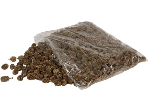 Casuarina Denneappeltjes Goud glitters ca. 1 kilo