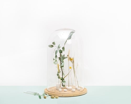 Droogbloemenmix + Euc Creeer Droogbloempakketje excl Accessoires