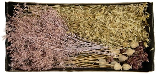 Droogbloempakket Dried flowers mix tray Pink 