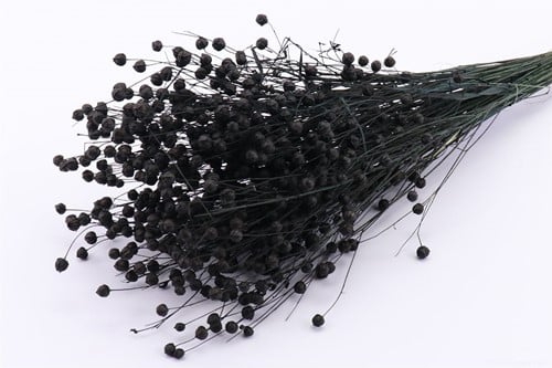 Vlas Flax grass Zwart droogbloemen per bundel