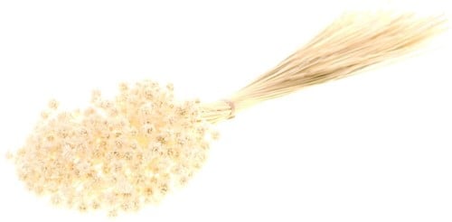 Hill flower bleached white fijne droogbloemen 100gr