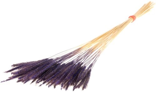 Soft Worms Grass alternatief voor Lagurus Purple