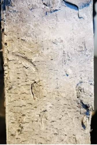 Berkenschors stroken Naturel ca. 46x7,5 cm 10 stuks