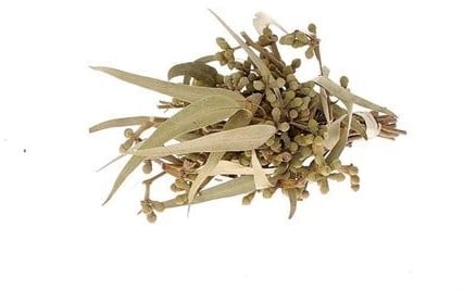 Eucalyptus met Besjes Droogbloemen