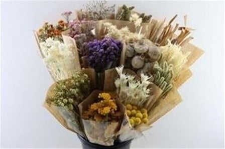 Droogbloemenmix Startersbox 15 verschillende Wisselende Samenstelling