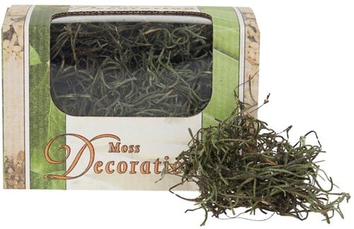 Tillandsia Spaansmos Forestmos Mosgroen 20 gram gepreserveerd