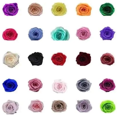 Geconserveerde rozen Geprepareerd Roze Perzik doos 8 stuks