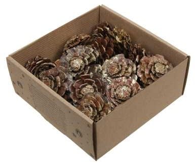 Dennenappel Flower cut Goud Wash doosje 23 stuks