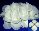 Blad Zijden blaadjes rozenblaadjes Ivory ca. 100 stuks