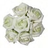 Foamroos Emilia Cremegroen 6 cm doos 42 stuks