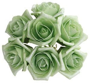 Foamroos Emilia Antique Cool Groen doos 42 stuks