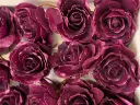 Foamroos Sophie Sparkling Aubergine 15 cm Doos 12 stuks