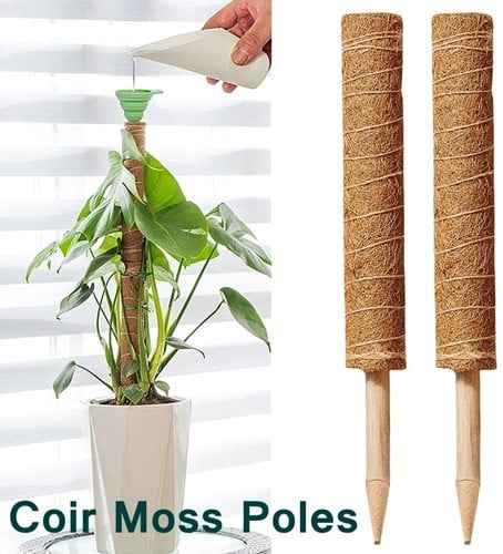 Mosstok Kokosstok planten totem 50 cm per stuk