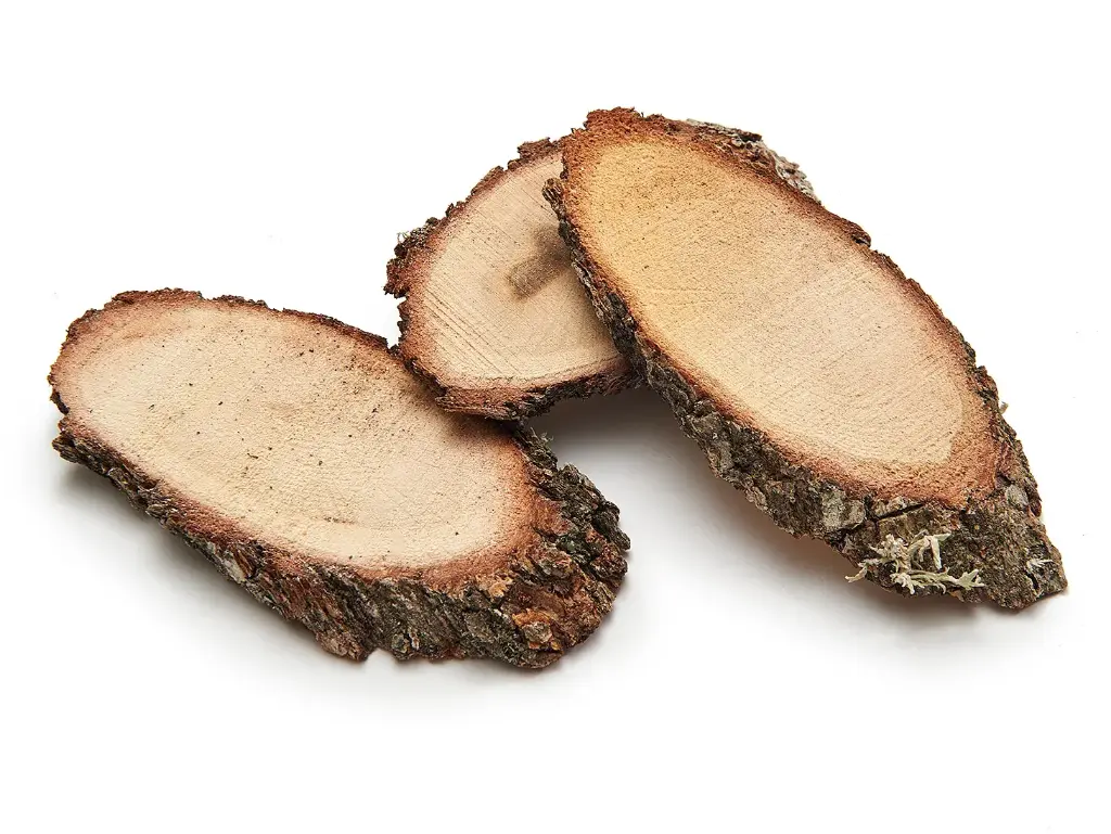 Boomstamschijfjes Eikenschijfjes Ovaal Houten Schijfjes   +/- 10cm / 4 st
