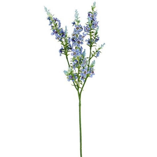 Kattenmunt Blauw Zijdenbloem 75 cm per stuk