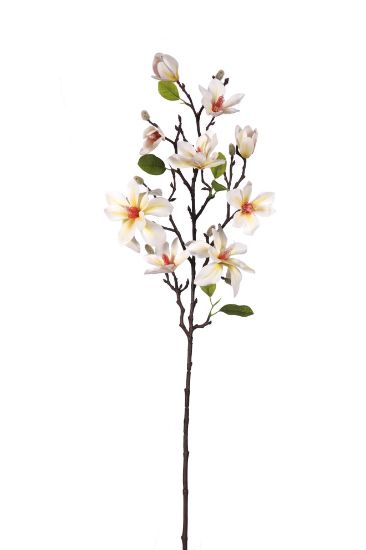 Magnolia tak Ivory/Crème Zijdenbloem 80 cm per stuk