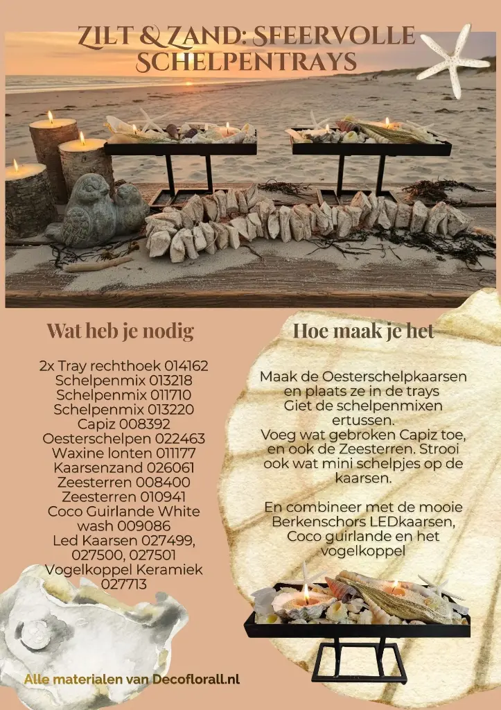 Zilt & Zand: Sfeervolle Schelpentrays Stel zelf je pakket samen