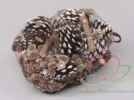 [A-011329] Dennenappels Forest mix White Tip Net 500 gram