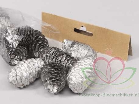 [A-011337] Dennenappel Ray Cones Zilver 100 gram kleinverpakking