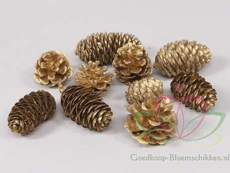 [A-011377] Dennenappel Ray Cones Goud 500 gram