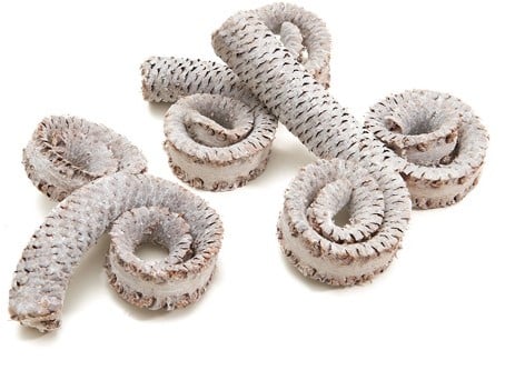 [A-013651] Palm Male Ring Frosted White 10-15 cm 15 stuks