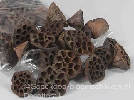 [A-016127] Lotus zak Naturel 5–7 cm ca. 50 stuks