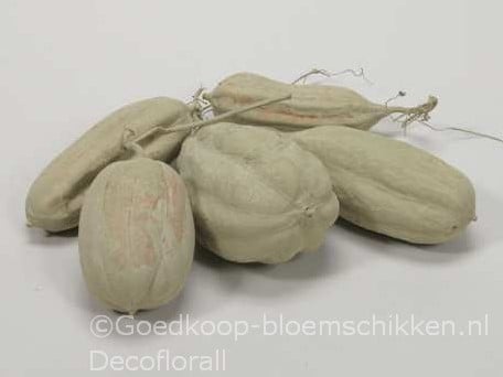 [A-016147] Jhinga fruit Zaaddozen Groen 10 st 