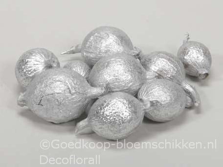 [A-016166] Cowri Fruit Noten Zilver 300 gram