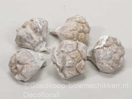 [A-016172] Kiyafruit White Wash Noten 300 gram
