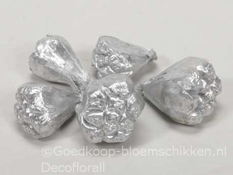 [A-016175] Kiyafruit Zilver Noten 300 gram