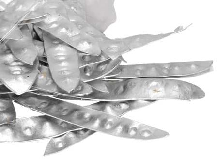[A-019261] Albama pods Zilver zak ca. 50 peulen